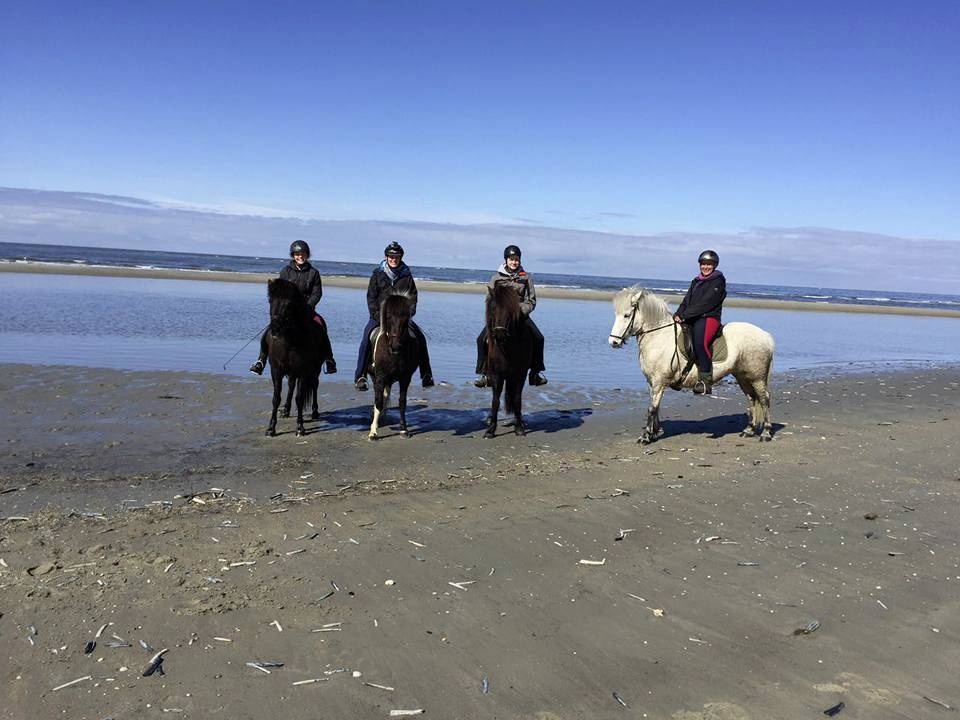 LONG luxus wellness and horseriding weekend